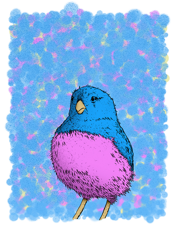 Image of a Cute Little Bird - Artist: Jonas Hastings