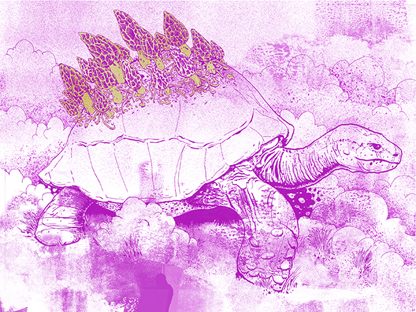 Image of a Turtle with Morel Mushrooms on his shell - Artist: Jonas Hastings